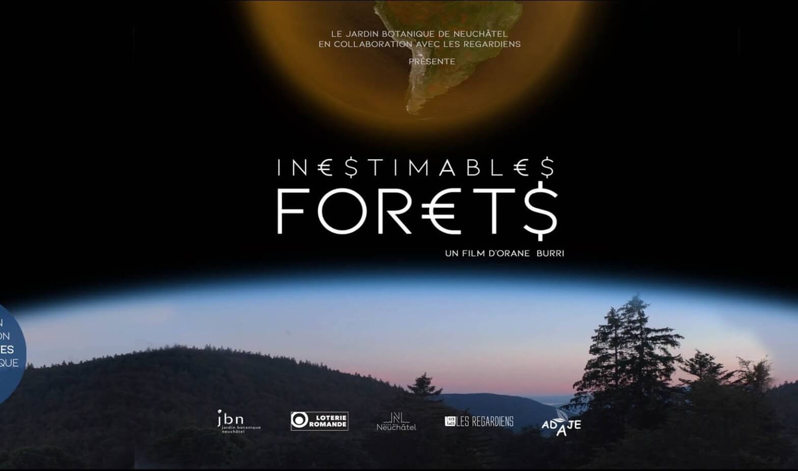INESTIMABLES FORETS site light
